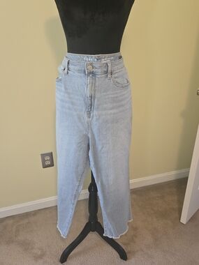 torrid Light Blue High-Rise Cropped Straight Jeans